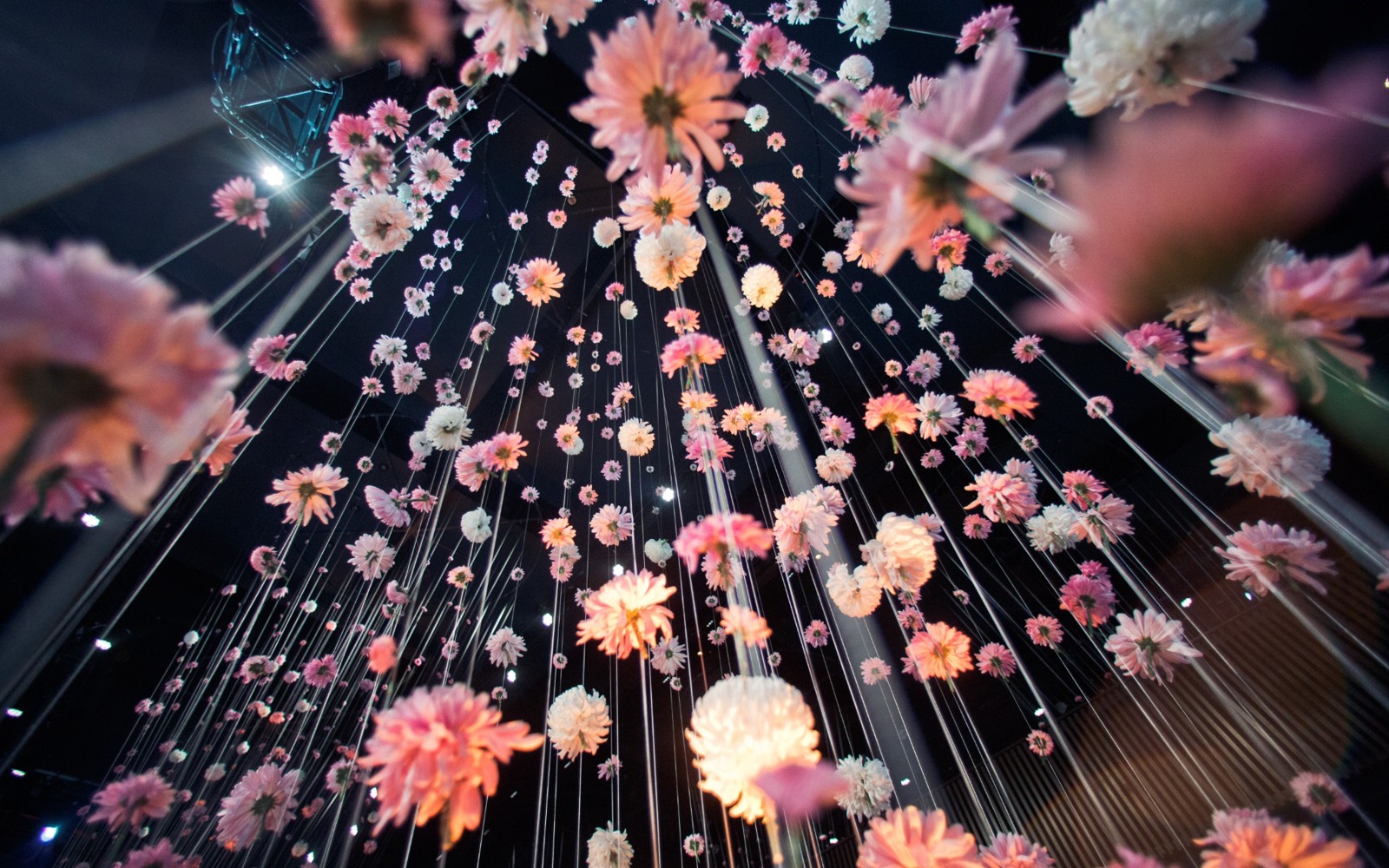 Ceiling Floral Installation